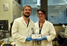 “Lotteria IOR” Ravenna: il 6 gennaio l’estrazione al Conad Superstore di Lugo