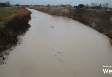 Fiume Lamone a Traversara: situazione al momento sotto controllo