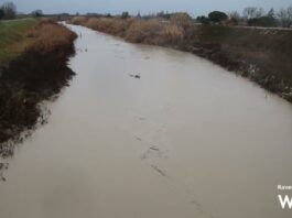 Fiume Lamone a Traversara: situazione al momento sotto controllo
