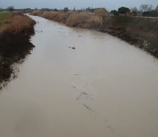 Fiume Lamone a Traversara: situazione al momento sotto controllo
