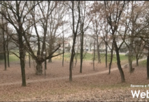 Alluvione: 190 mila euro per una prima riqualificazione del Parco Gatti