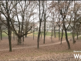 Alluvione: 190 mila euro per una prima riqualificazione del Parco Gatti