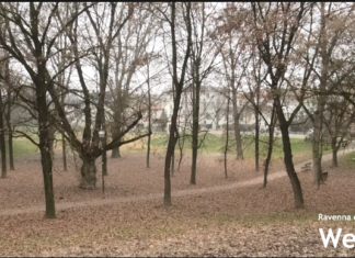 Alluvione: 190 mila euro per una prima riqualificazione del Parco Gatti