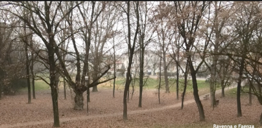 Alluvione: 190 mila euro per una prima riqualificazione del Parco Gatti