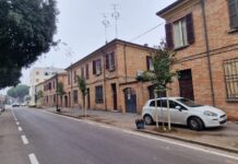 Ultimati gli interventi di piantumazione di 18 alberi in viale Baracca e via Monfalcone