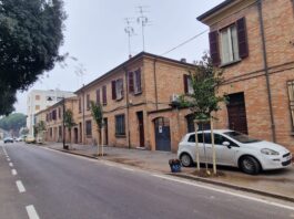 Ultimati gli interventi di piantumazione di 18 alberi in viale Baracca e via Monfalcone