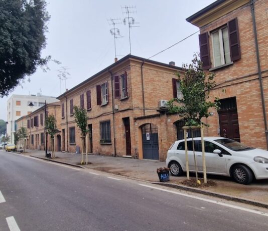 Ultimati gli interventi di piantumazione di 18 alberi in viale Baracca e via Monfalcone