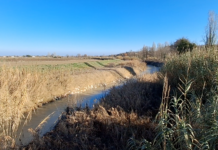 Il sindaco di Castel Bolognese: “In caso di pericolo, abbatteremo di nuovo gli argini”. Ma mancano gli indennizzi