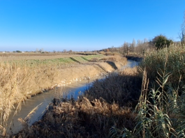 Il sindaco di Castel Bolognese: “In caso di pericolo, abbatteremo di nuovo gli argini”. Ma mancano gli indennizzi