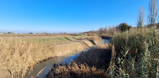 Il sindaco di Castel Bolognese: “In caso di pericolo, abbatteremo di nuovo gli argini”. Ma mancano gli indennizzi