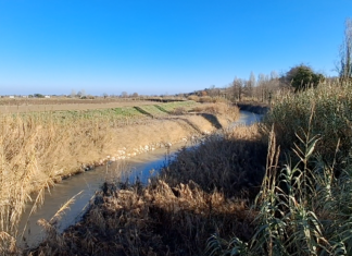 Il sindaco di Castel Bolognese: “In caso di pericolo, abbatteremo di nuovo gli argini”. Ma mancano gli indennizzi