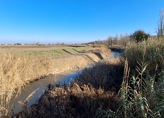 Il sindaco di Castel Bolognese: “In caso di pericolo, abbatteremo di nuovo gli argini”. Ma mancano gli indennizzi