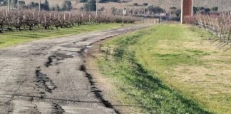 Monti (Fratelli d’Italia): “Cittadini di serie A e cittadini di serie B? Via Lavezzana è abbandonata”