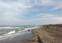 Nuova cementificazione a Lido di Dante: un progetto mostruoso per distruggere due Riserve naturali e affogare il paese