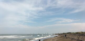 Nuova cementificazione a Lido di Dante, Italia Nostra: “Un progetto che mette a rischio il territorio e due riserve naturali”