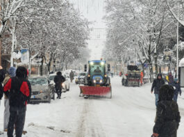 Modifiche alla viabilità a causa della caduta di rami e alberi. In corso la pulizia delle strade dalla neve