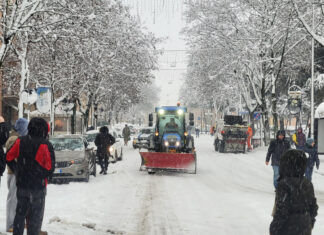 Modifiche alla viabilità a causa della caduta di rami e alberi. In corso la pulizia delle strade dalla neve