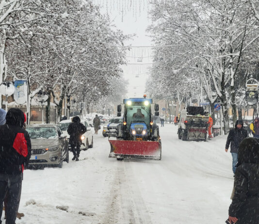 Modifiche alla viabilità a causa della caduta di rami e alberi. In corso la pulizia delle strade dalla neve