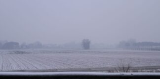 Epifania con la neve: fiocchi sul Ravennate dalle prime ore del mattino