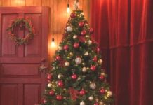 Hera: dall’albero di Natale al compost