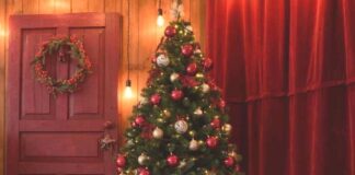 Hera: dall’albero di Natale al compost