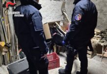 Un chilo di marijuana in casa e attrezzatura per la coltivazione: arrestato un uomo ad Alfonsine