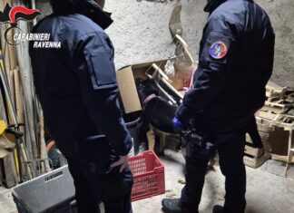 Un chilo di marijuana in casa e attrezzatura per la coltivazione: arrestato un uomo ad Alfonsine