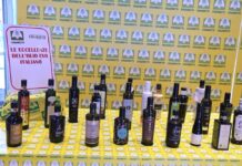 Made in Italy: nel 2025 invasi i mercati da mezzo miliardo di chili di olio straniero