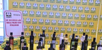 Made in Italy: nel 2025 invasi i mercati da mezzo miliardo di chili di olio straniero