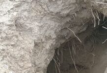 La Pigna. Lamone, argini ancora vulnerabili: a Torri segnalate nuove gravi criticità