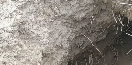 La Pigna. Lamone, argini ancora vulnerabili: a Torri segnalate nuove gravi criticità