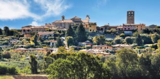 Solarolo Half Marathon, domenica scatta il cambio di tariffa