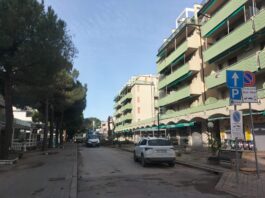 Salviamo i pini di Lido di Savio: “I 9 alberi abbattuti erano sani”