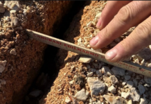 Nuove crepe sull’argine di Villanova: “Aspettiamo con preoccupazione la prossima piena”