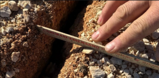 Nuove crepe sull’argine di Villanova: “Aspettiamo con preoccupazione la prossima piena”