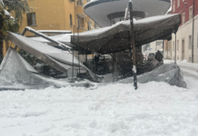 Danni a Faenza per la neve: rami e alberi caduti, alcune strade chiuse