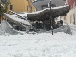 Danni a Faenza per la neve: rami e alberi caduti, alcune strade chiuse