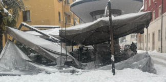 Danni a Faenza per la neve: rami e alberi caduti, alcune strade chiuse