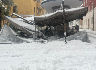 Danni a Faenza per la neve: rami e alberi caduti, alcune strade chiuse