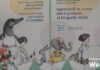 Il teatro prescritto dai pediatri: Sciroppo di Teatro a Conselice e Russi