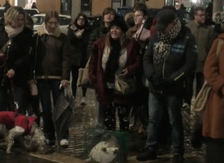 La benedizione degli animali in Piazza del Popolo a Faenza
