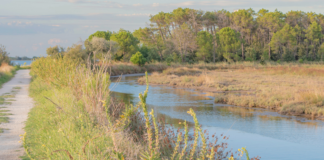 Dialogo sul clima: al Rasi una serata per fare il punto sull’esperienza del territorio e le politiche per il futuro della città