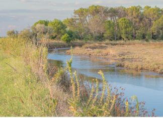 Dialogo sul clima: al Rasi una serata per fare il punto sull’esperienza del territorio e le politiche per il futuro della città