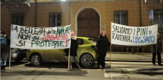 Cambiamenti climatici. Il gruppo “Salviamo i pini di Lido di Savio” protesta contro Michele de Pascale