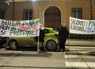 Cambiamenti climatici. Il gruppo “Salviamo i pini di Lido di Savio” protesta contro Michele de Pascale