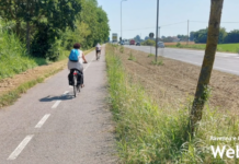 Illuminare la ciclopedonale da Ravenna a Punta Marina: presentata la petizione