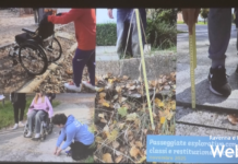 Tante proposte per le aree verdi del quartiere San Rocco