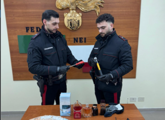 Arrestata banda specializzata in furti in appartamento