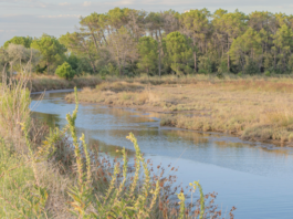 Clima e futuro della città, confronto pubblico al teatro Rasi