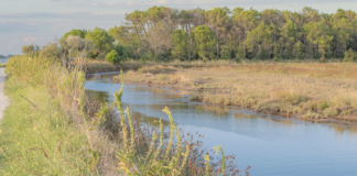 Clima e futuro della città, confronto pubblico al teatro Rasi